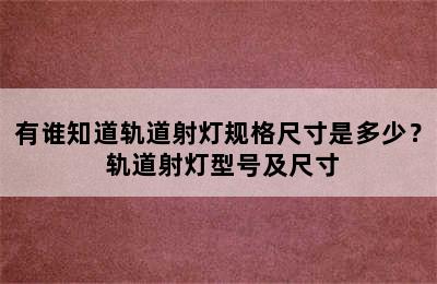 有谁知道轨道射灯规格尺寸是多少？ 轨道射灯型号及尺寸